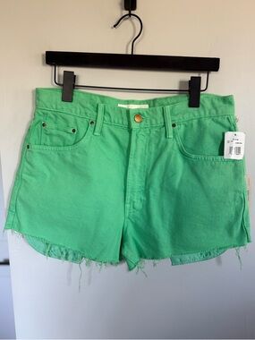 NWT RARE MOTHER Snacks The Fun Dip Micro Cut Shorts Size 31